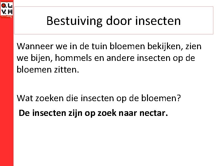 Bestuiving door insecten Wanneer we in de tuin bloemen bekijken, zien we bijen, hommels