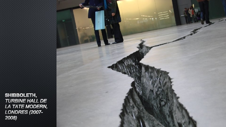 SHIBBOLETH, TURBINE HALL DE LA TATE MODERN, LONDRES (20072008) 