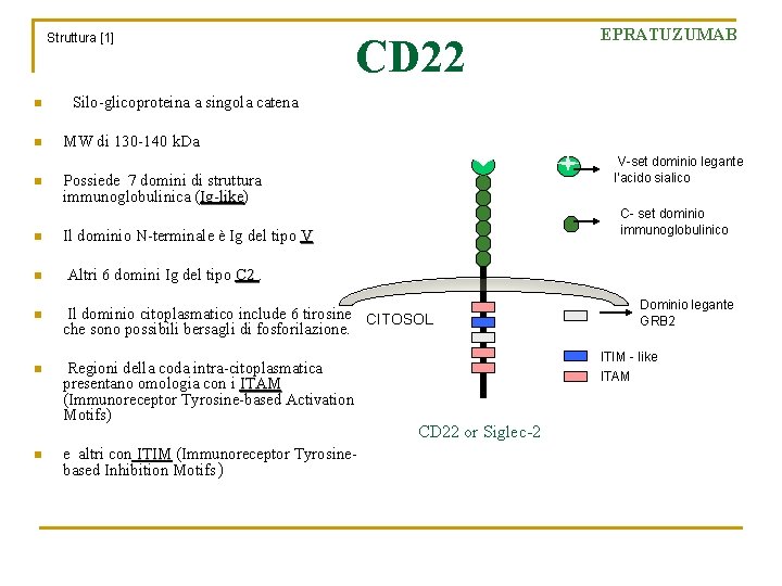 Struttura [1] CD 22 n EPRATUZUMAB Silo-glicoproteina a singola catena n n MW di