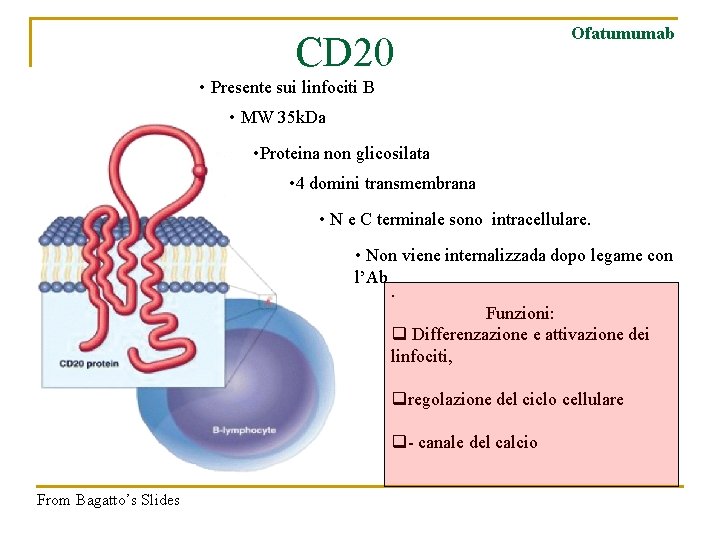  CD 20 Ofatumumab • Presente sui linfociti B • MW 35 k. Da