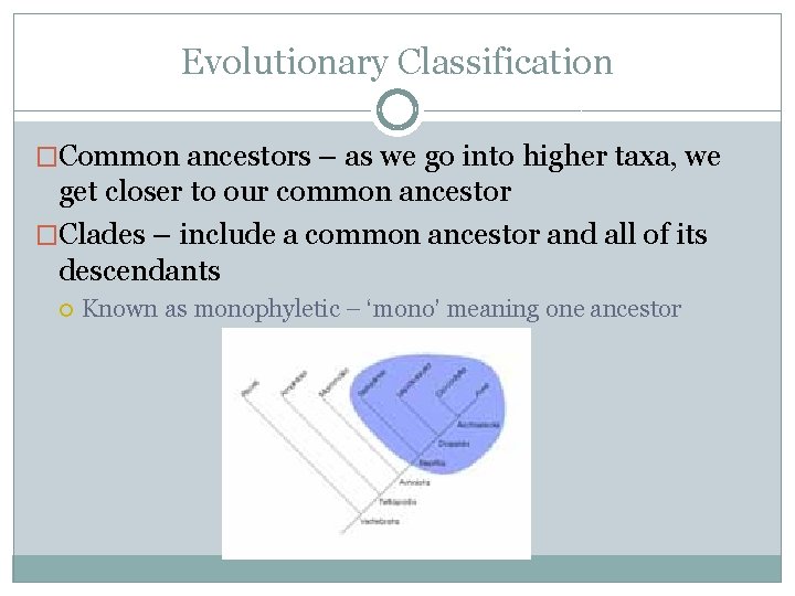Evolutionary Classification �Common ancestors – as we go into higher taxa, we get closer