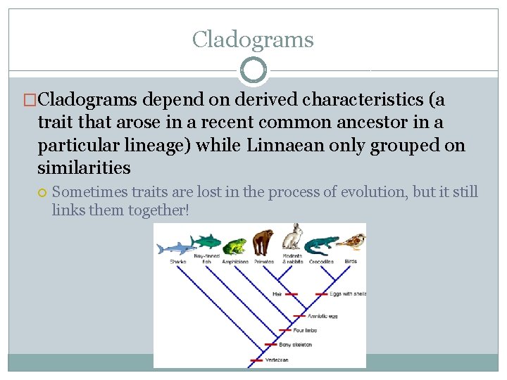 Cladograms �Cladograms depend on derived characteristics (a trait that arose in a recent common