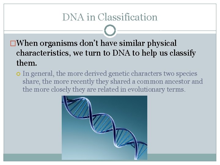 DNA in Classification �When organisms don’t have similar physical characteristics, we turn to DNA