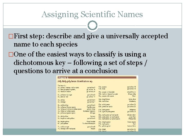 Assigning Scientific Names �First step: describe and give a universally accepted name to each
