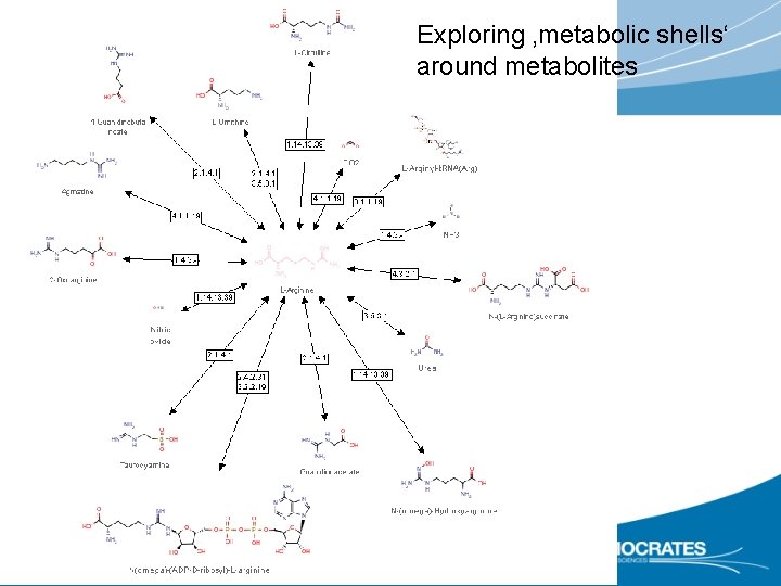 Exploring ‚metabolic shells‘ around metabolites 