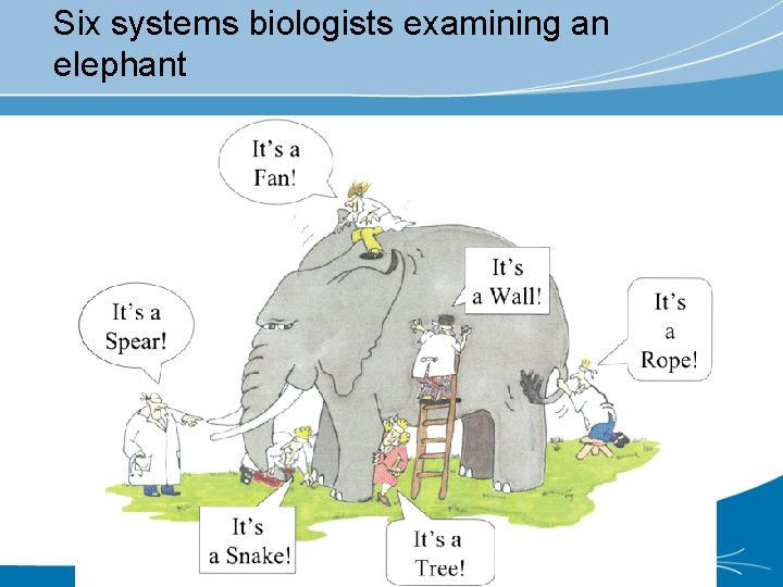 Six systems biologists examining an elephant 