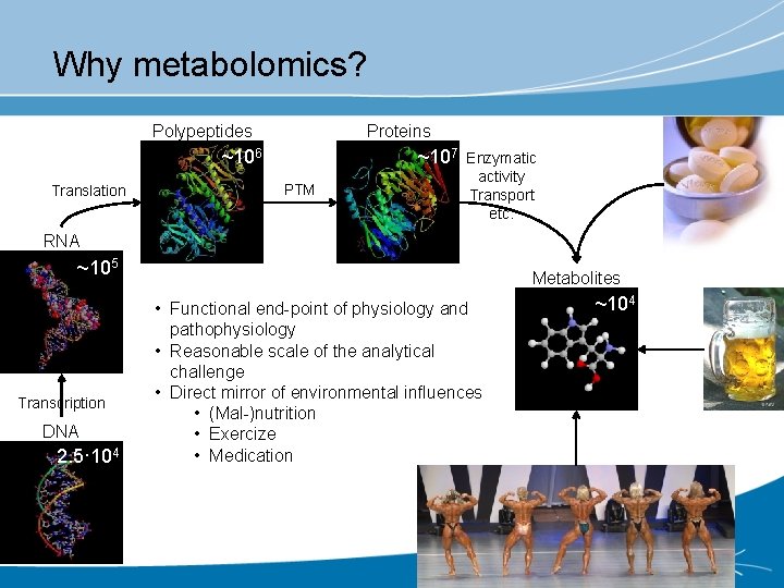 Why metabolomics? Polypeptides Proteins ~106 Translation ~107 PTM Enzymatic activity Transport etc. RNA ~105