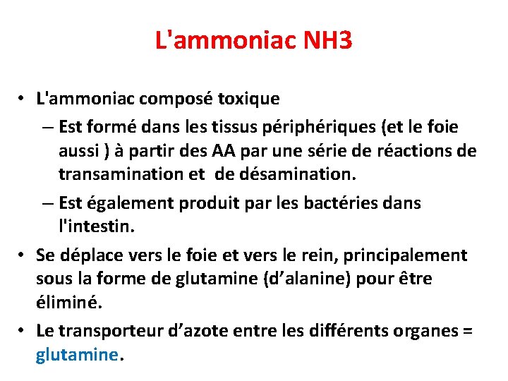 L'ammoniac NH 3 • L'ammoniac composé toxique – Est formé dans les tissus périphériques