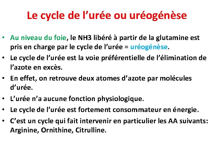 Le cycle de l’urée ou uréogénèse • Au niveau du foie, le NH 3