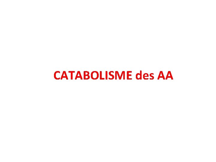 CATABOLISME des AA 