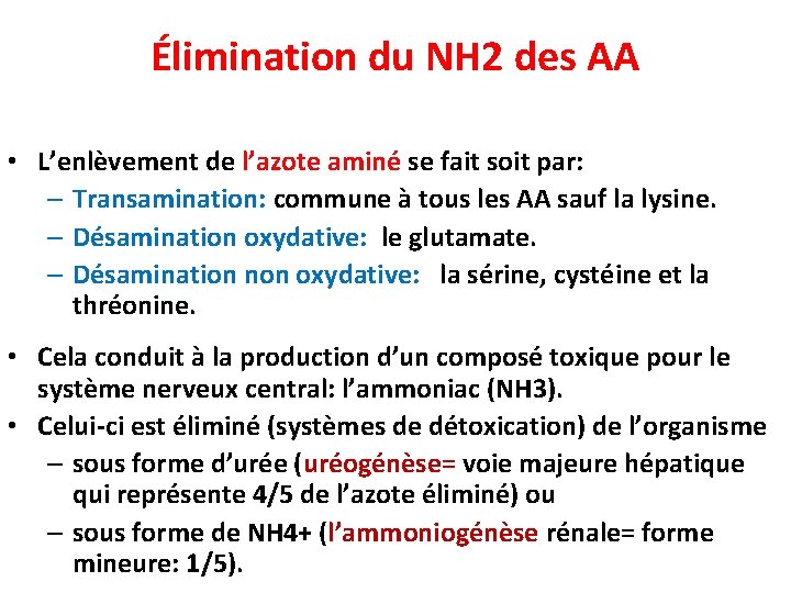 Élimination du NH 2 des AA • L’enlèvement de l’azote aminé se fait soit