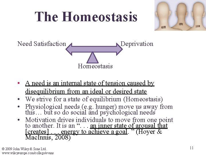 The Homeostasis Need Satisfaction Deprivation Homeostasis • A need is an internal state of