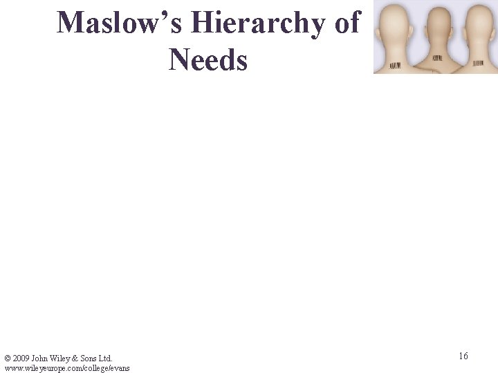 Maslow’s Hierarchy of Needs © 2009 John Wiley & Sons Ltd. www. wileyeurope. com/college/evans