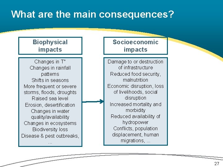 What are the main consequences? Biophysical impacts Socioeconomic impacts Changes in T° Changes in
