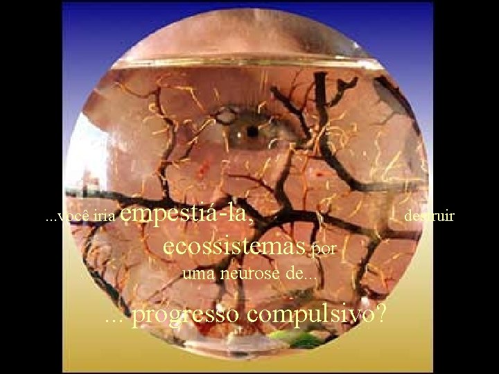 . . . você iria empestiá-la, ecossistemas por uma neurose de. . . progresso