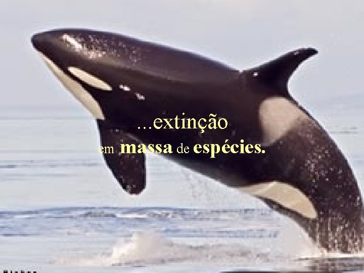 . . . extinção em massa de espécies. 