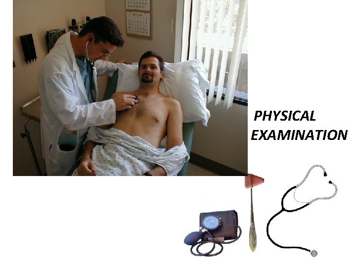 PHYSICAL EXAMINATION 