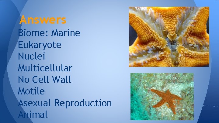 Answers Biome: Marine Eukaryote Nuclei Multicellular No Cell Wall Motile Asexual Reproduction Animal 