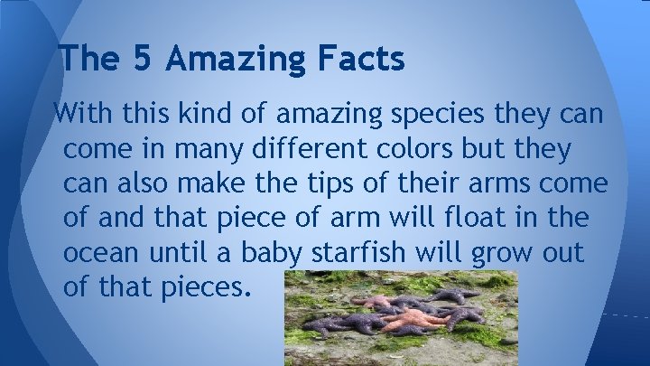 The 5 Amazing Facts With this kind of amazing species they can come in