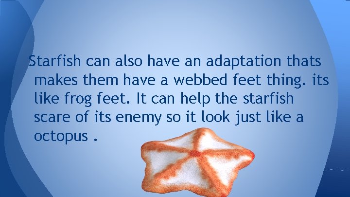 Starfish can also have an adaptation thats makes them have a webbed feet thing.