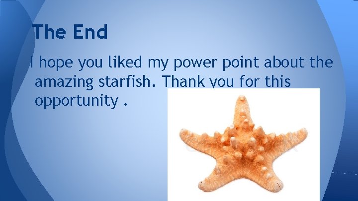 The End I hope you liked my power point about the amazing starfish. Thank