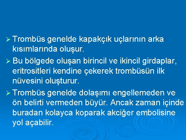 Ø Trombüs genelde kapakçık uçlarının arka kısımlarında oluşur. Ø Bu bölgede oluşan birincil ve