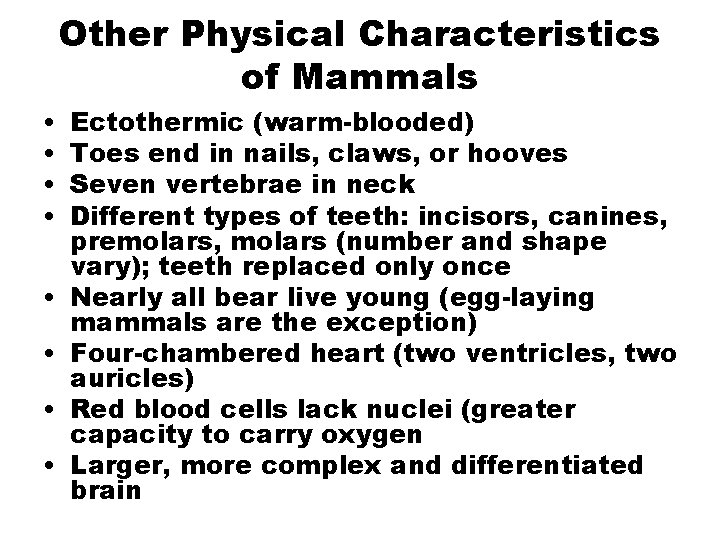 Other Physical Characteristics of Mammals • • Ectothermic (warm-blooded) Toes end in nails, claws,
