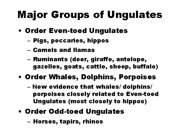 Major Groups of Ungulates • Order Even-toed Ungulates – Pigs, peccaries, hippos – Camels