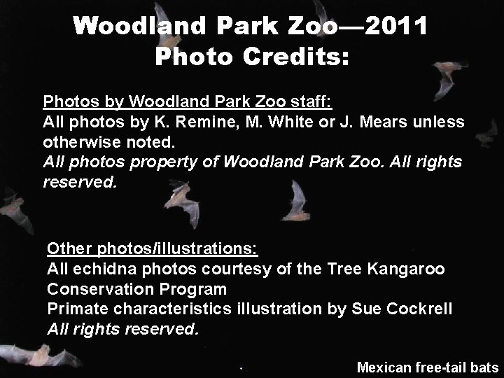 Woodland Park Zoo— 2011 Photo Credits: Photos by Woodland Park Zoo staff: All photos