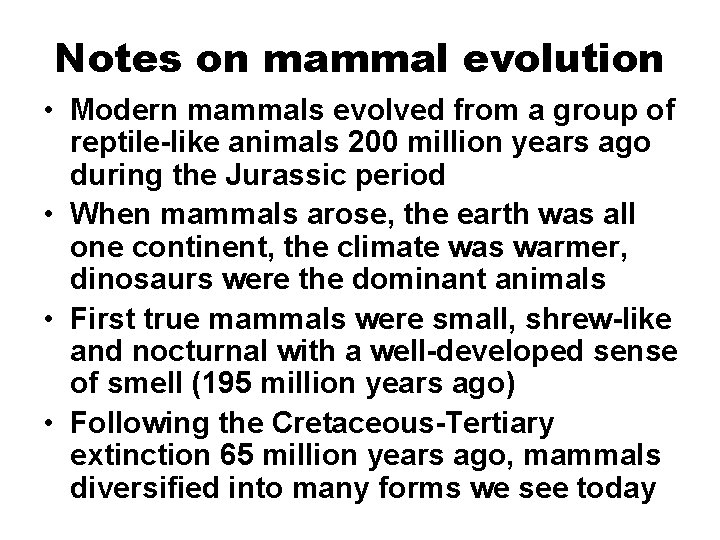 Notes on mammal evolution • Modern mammals evolved from a group of reptile-like animals