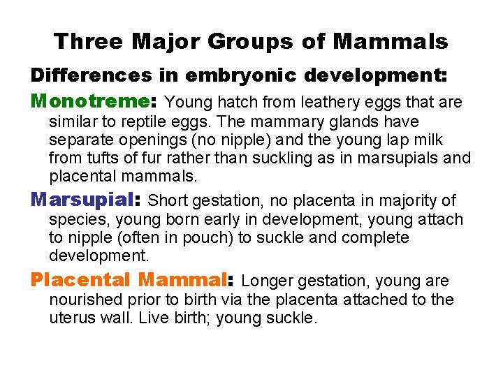 Three Major Groups of Mammals Differences in embryonic development: Monotreme: Young hatch from leathery