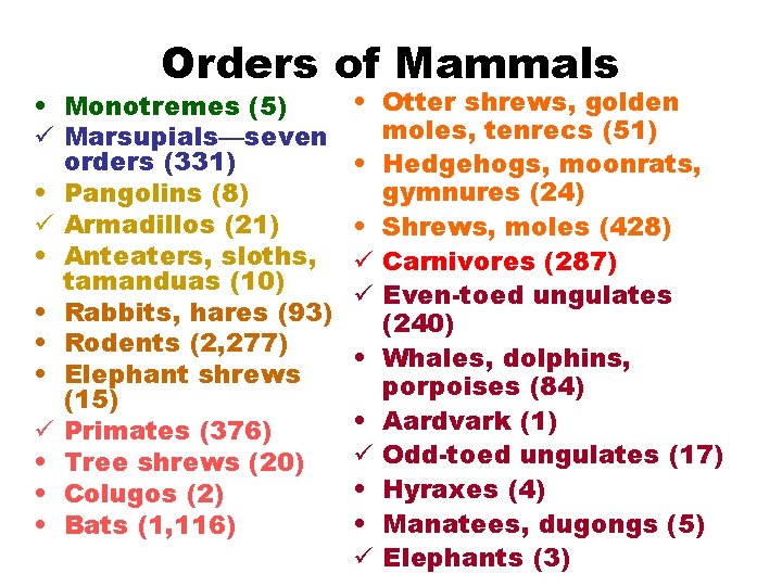 Orders of Mammals • Monotremes (5) ü Marsupials—seven orders (331) • Pangolins (8) ü