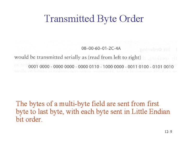 Transmitted Byte Order The bytes of a multi-byte field are sent from first byte