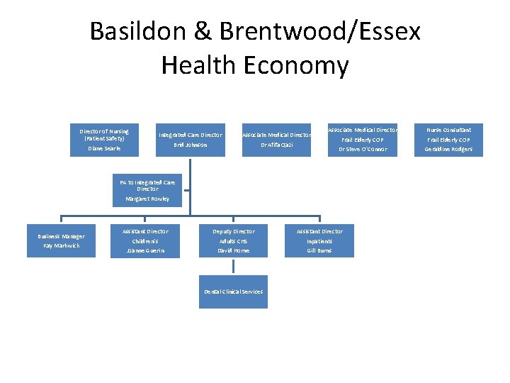 Basildon & Brentwood/Essex Health Economy Director of Nursing (Patient Safety) Diane Searle Integrated Care