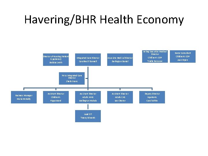 Havering/BHR Health Economy Director of Nursing (Patient Experience) Debbie Smith Acting Executive Medical Director