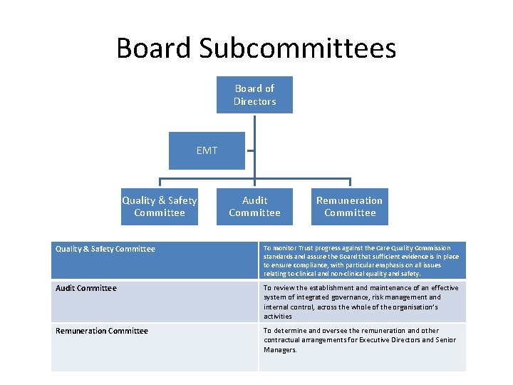 Board Subcommittees Board of Directors EMT Quality & Safety Committee Audit Committee Remuneration Committee