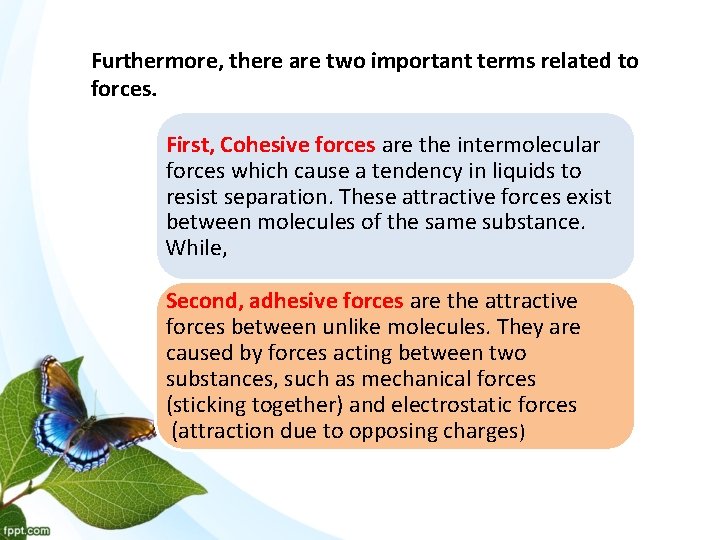 Furthermore, there are two important terms related to forces. First, Cohesive forces are the