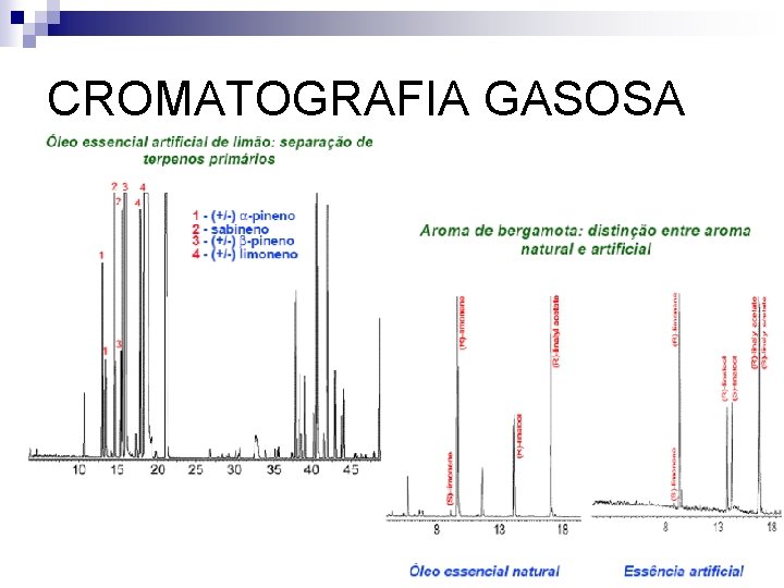 CROMATOGRAFIA GASOSA 