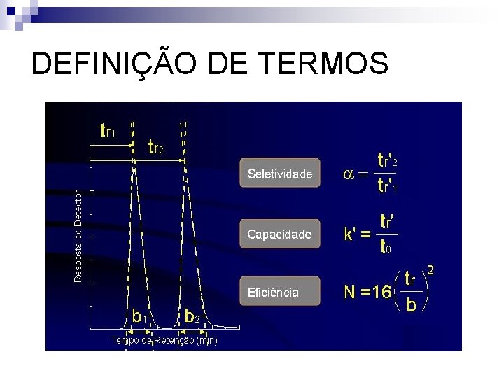 DEFINIÇÃO DE TERMOS 