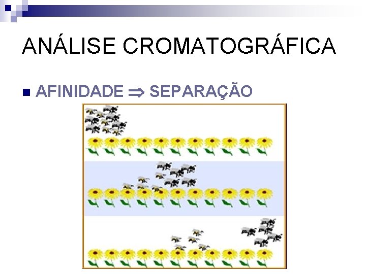 ANÁLISE CROMATOGRÁFICA n AFINIDADE SEPARAÇÃO 