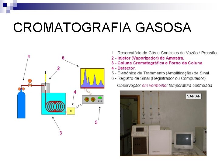 CROMATOGRAFIA GASOSA 