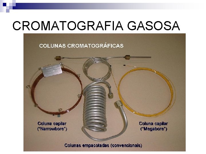 CROMATOGRAFIA GASOSA 