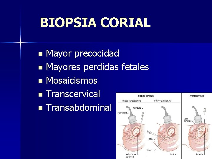 BIOPSIA CORIAL Mayor precocidad n Mayores perdidas fetales n Mosaicismos n Transcervical n Transabdominal