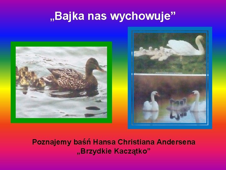 „Bajka nas wychowuje” Poznajemy baśń Hansa Christiana Andersena „Brzydkie Kaczątko” 