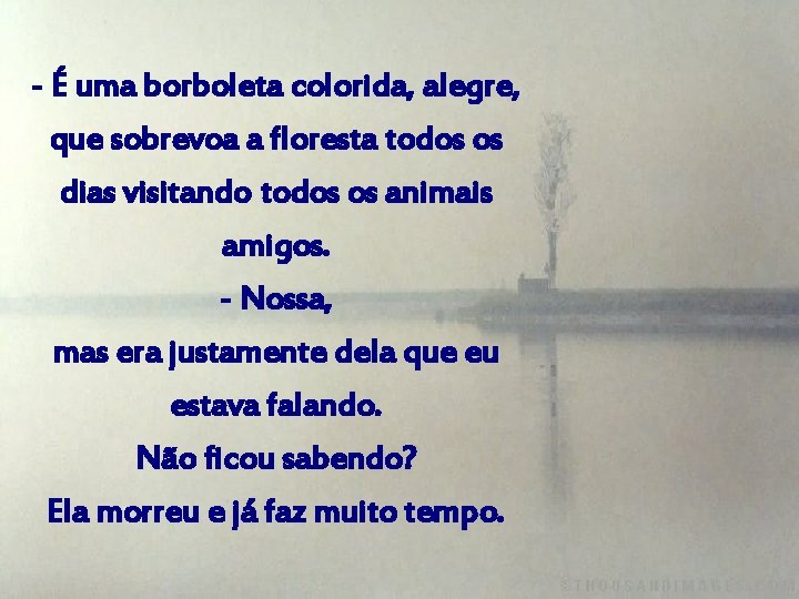 - É uma borboleta colorida, alegre, que sobrevoa a floresta todos os dias visitando