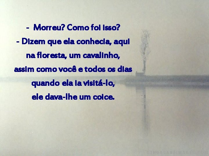 - Morreu? Como foi isso? - Dizem que ela conhecia, aqui na floresta, um