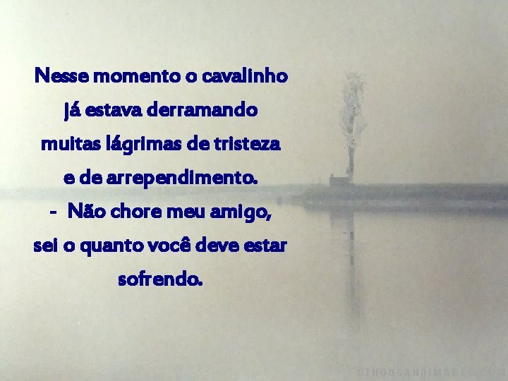 Nesse momento o cavalinho já estava derramando muitas lágrimas de tristeza e de arrependimento.