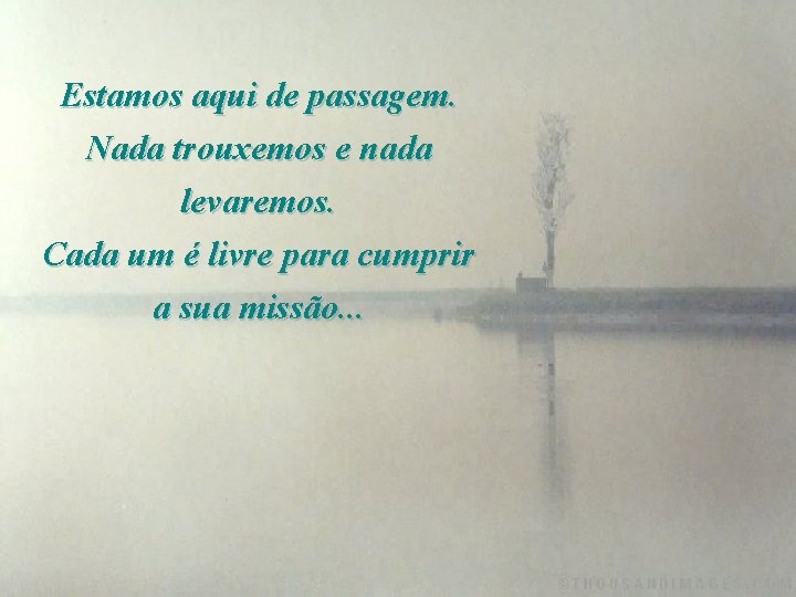 Estamos aqui de passagem. Nada trouxemos e nada levaremos. Cada um é livre para