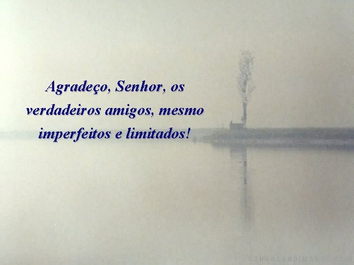 Agradeço, Senhor, os verdadeiros amigos, mesmo imperfeitos e limitados! 