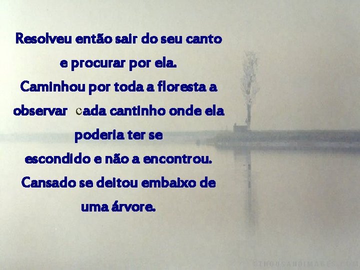 Resolveu então sair do seu canto e procurar por ela. Caminhou por toda a